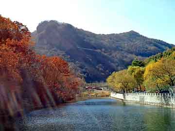 平陆野猪，拳击架